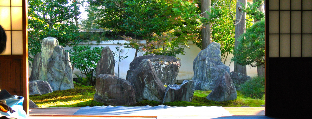 ���s�u�d�X�O��뉀���p�فv���_���Ȓ뉀�Ɨ��j���錚�z�̗Z��