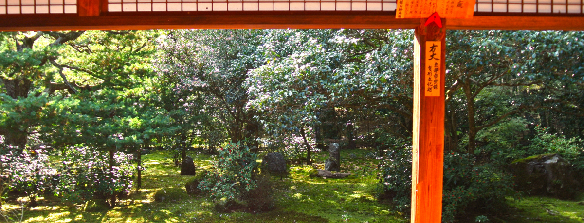 �|�тƒ뉀�͕K���I���s�u�n���@�v�͑�l�̖����X�|�b�g