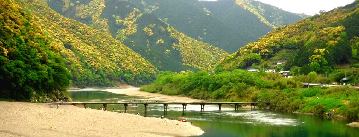 u{Ō̐vl\ŐiTCNOImE]肩̂yR[X͏S҂ɂXX