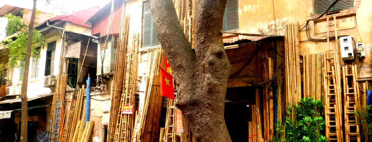 xgiyY܂IunmCsX36ʂv͔VI