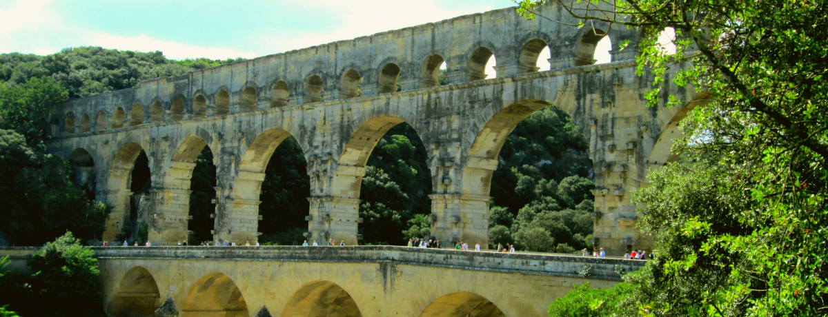 z2000N̐Iu|fK[v͌Ñネ[}l̒mb̎I