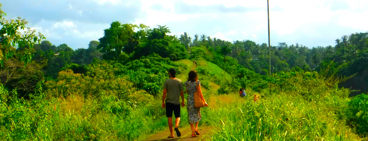 �o�����ŒI�c�E�H�[�L���O�I�E�u�h�u�`�����v�A�����b�W�v�͐�i�Ɩ����̕��