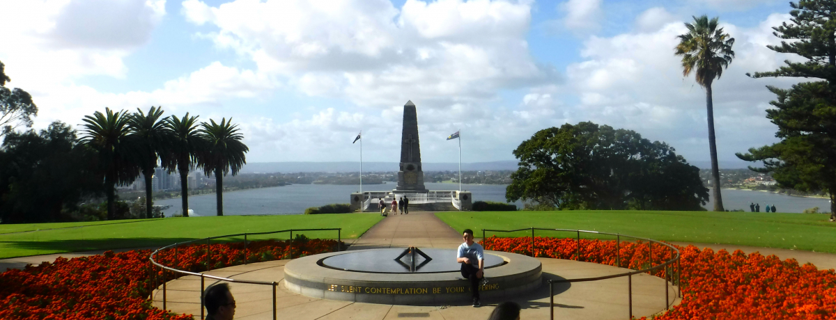 �p�[�X�̐�i�|�C���g�u�L���O�X�p�[�N�v�̓J�t�F���y�����ό������I