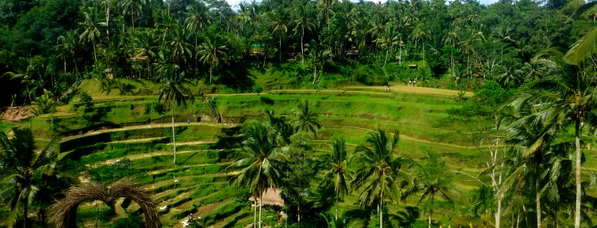 SҕKIoEuhŐΊOȂόX|bgTI