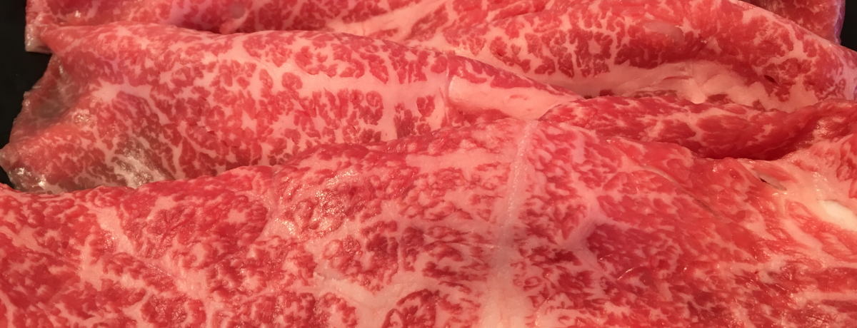 bE҂̗ňꐶ̓Iߍ]HאsIu {Xv