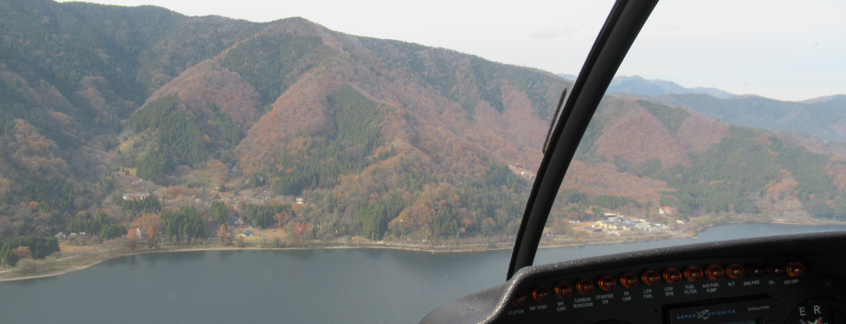 �z�e���s���w�����s�ւ��I�������y���ށu���e���E�f���E���N�v