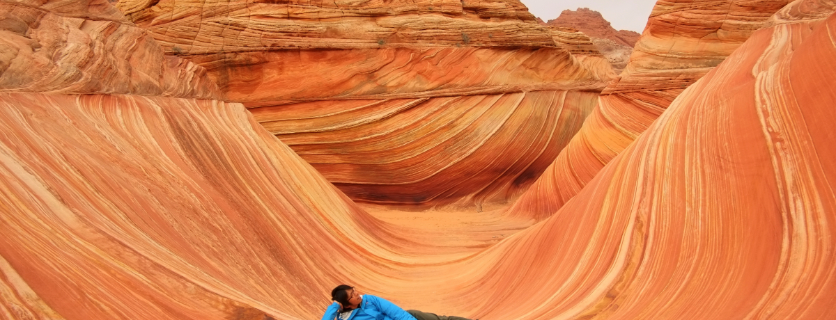 Ղ̐iI120l̔鋫EAJuUEEF[uv