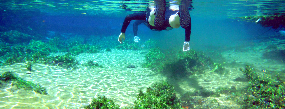 ���ق̓����x�I�u���W���E�{�j�[�g�ő厩�R�̃A�N�A���E����̊�