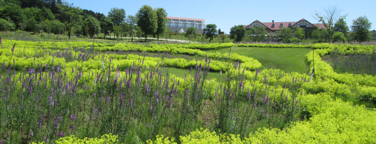 �����������̉p�����뉀�I�k�C���R�m���u��ɃK�[�f���v�̖���