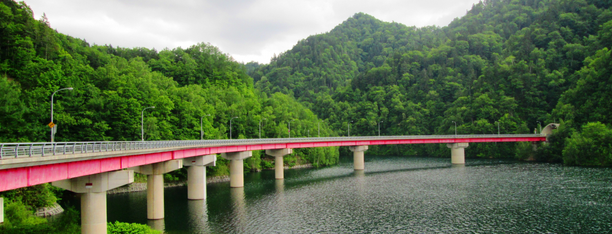 Rk`MԂ̑uhCuIuRkCNCv̐i[g