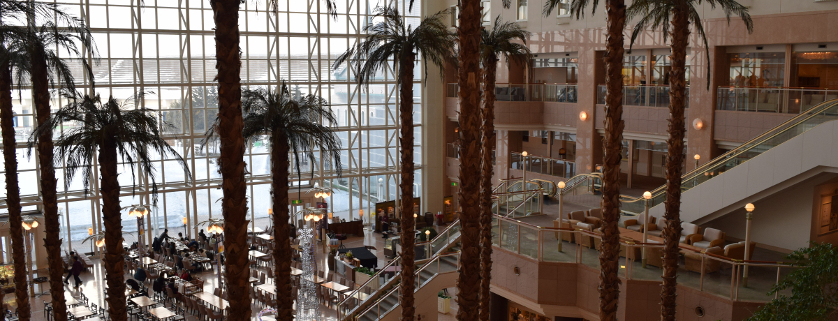 َqƍؐݔ́IDyuVg[[Kg[LO_Tb|v