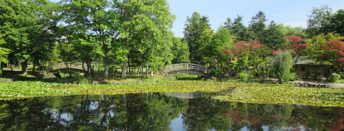 R̒ŃtbVIkC〈s̊όSI