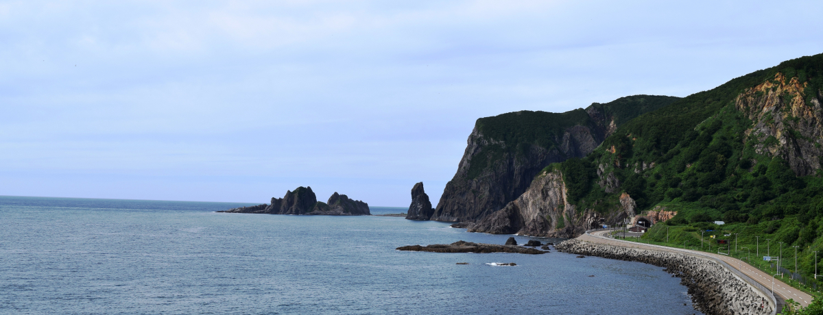 厩R̔pفICݐIȖkC_b̐i