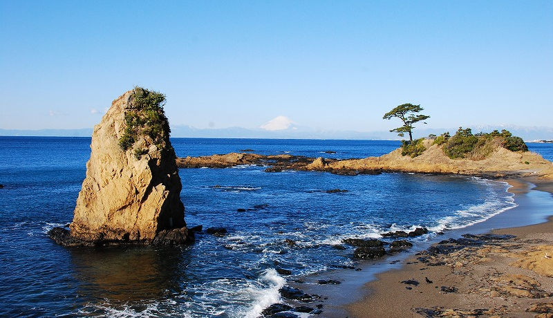 Ld`xmRI_ސ쌧E{uC̐iv5I