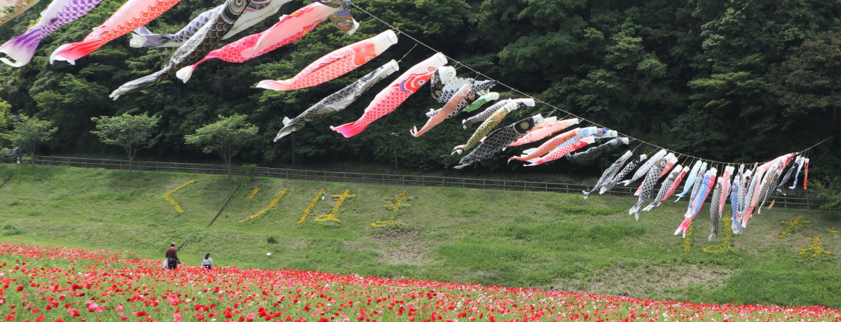 ���{��u����͂܉Ԃ̍��v�t�̓|�s�[���O�~�������̂ڂ�