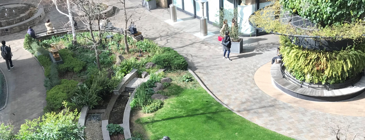 Eۂ̓uOHꍆٔpفv̓NVbNȐԗ