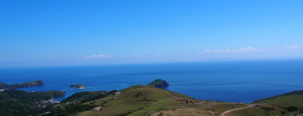 mvuԃnQRW]vŉBSpm}r[I