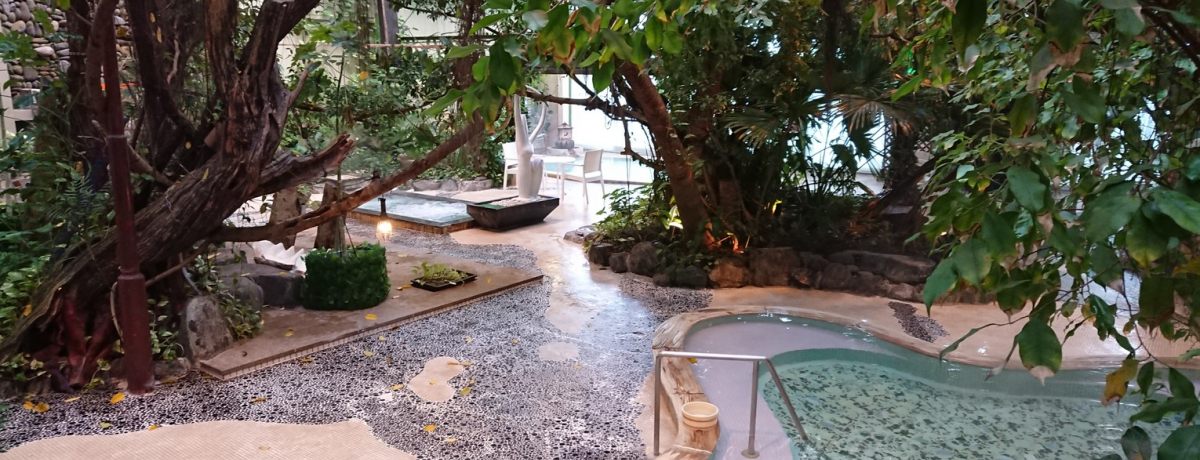 WOCƂv̓lCIqsu߉ אtv