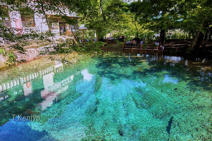 �R�����u�ʕ{�ٓV�r�v�͐_��I�߂���R�o���g�u���[�̐�I