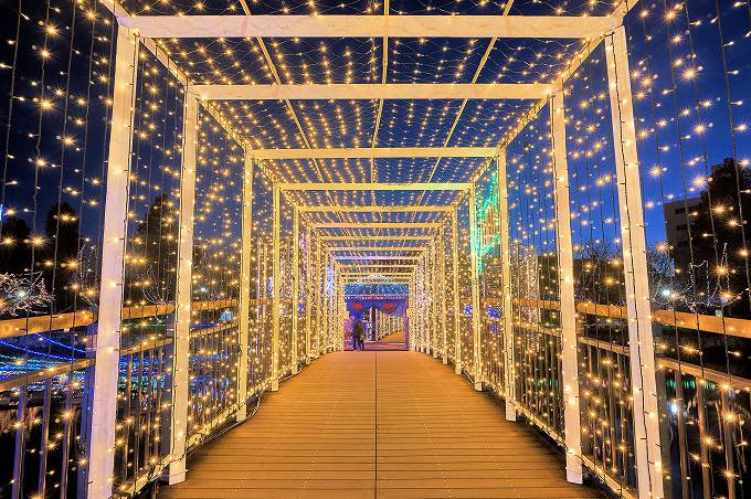 un[gCgtFX^vJÒI΂ɋPC~l[V