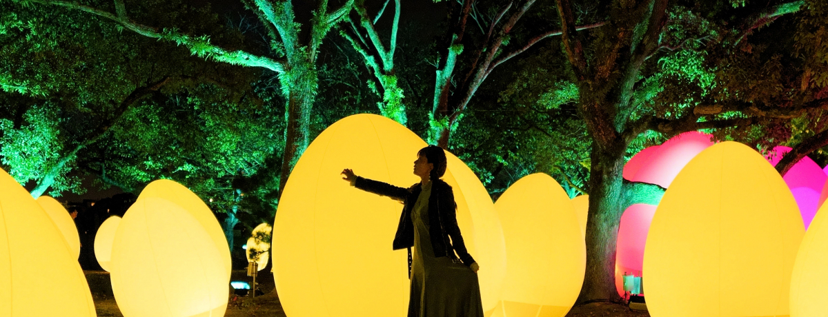 u`[{  ̍ 2019-2020vځI~A[gWJ