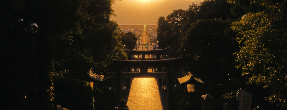 CM̐iIE{nԐ_Ёu̓v2022Ȟ́H