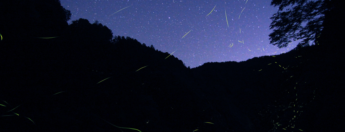 a̎Ruǂ艷򂢂₵̓vł܂ɂȂI