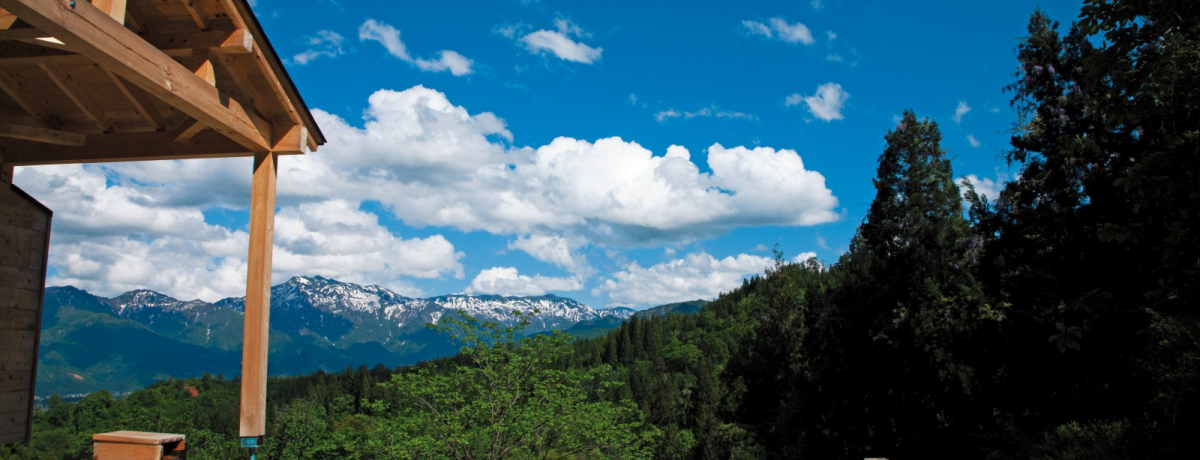 VuR R\v̋ɏƂƂŔɂ߂I