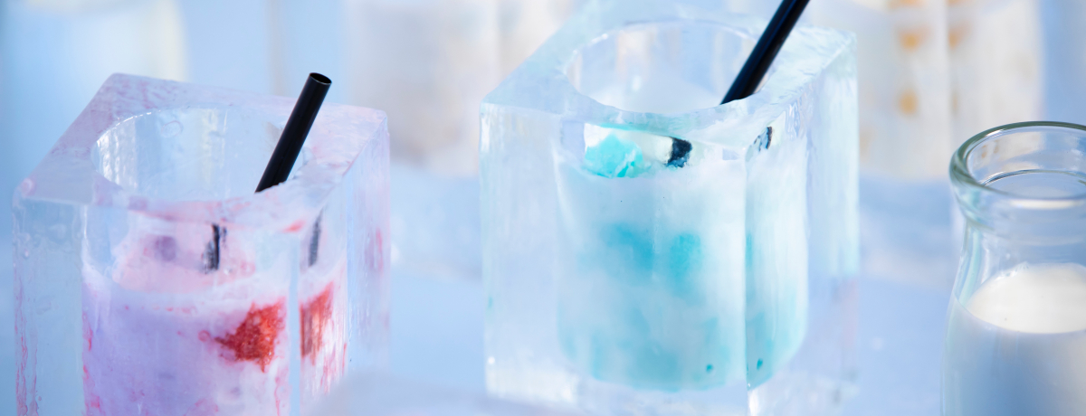 ACXBbWV{ݑXI샊][g@g}ɁuXBooks&Cafevo