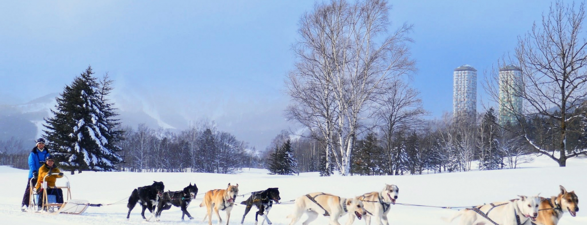 ȂĂyIu샊][g@g}v~̂߃ANeBreB