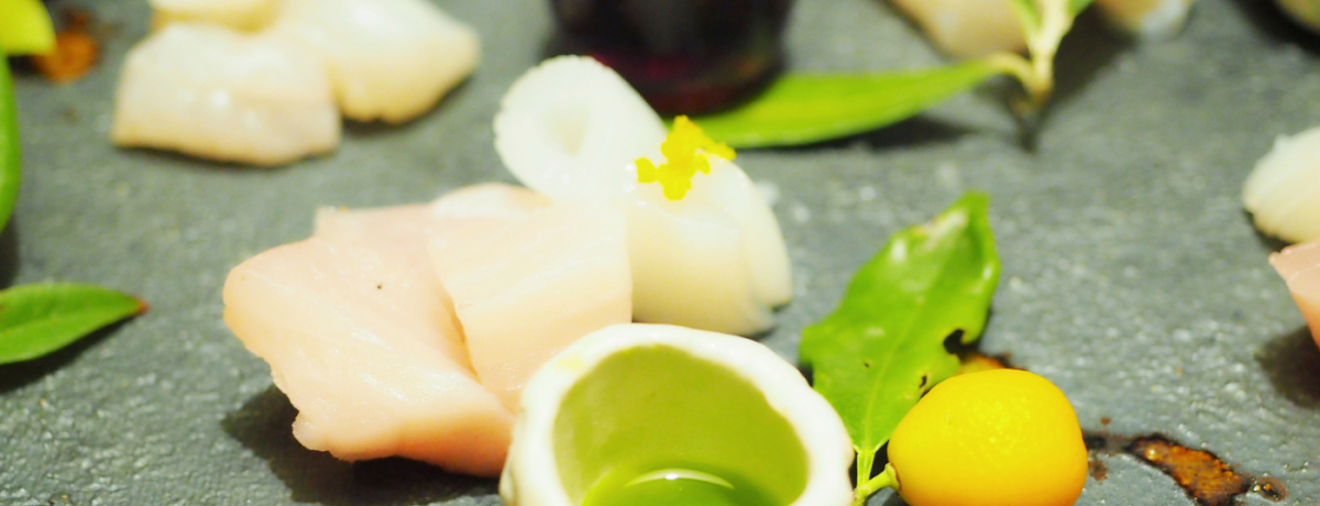 EłIuILI[uQXgnEXvSI[uɐ