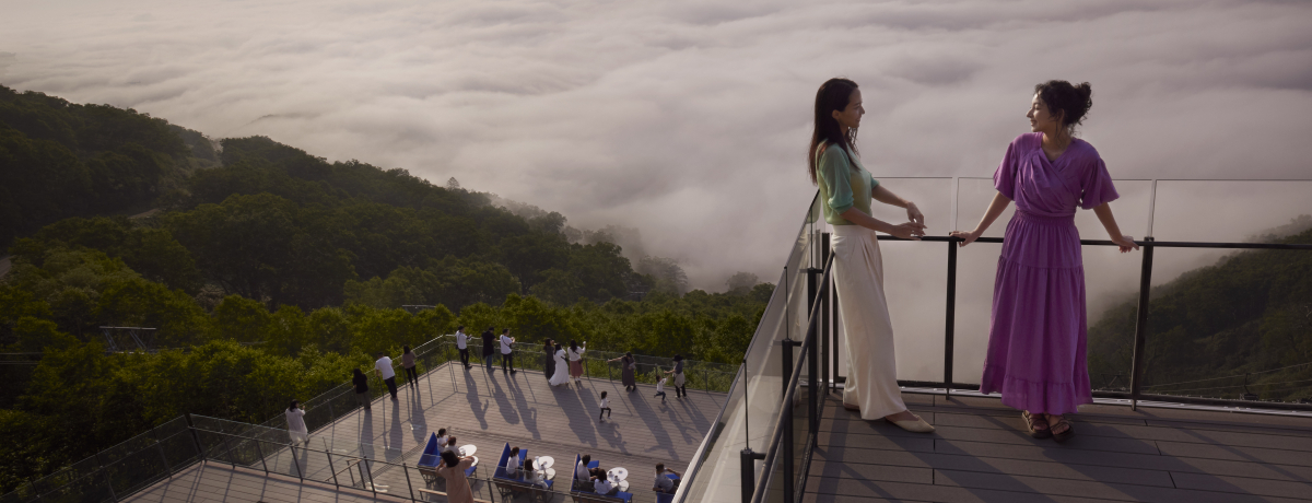 u샊][g@g}vO[V[YSNSfX|bg4I