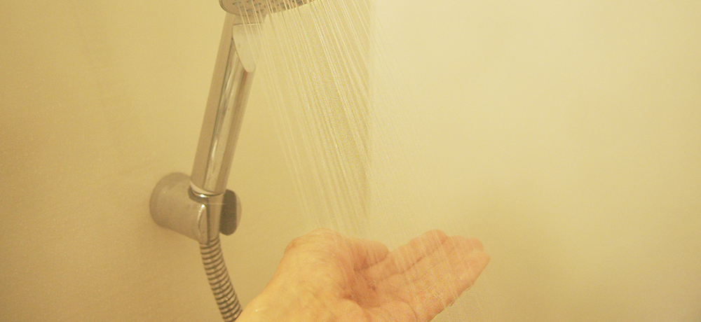 �g���ړ��āg�Ŕ��܂肽���I�S�ُ򐅂́u���S�t���b�T�C�� ����k���v