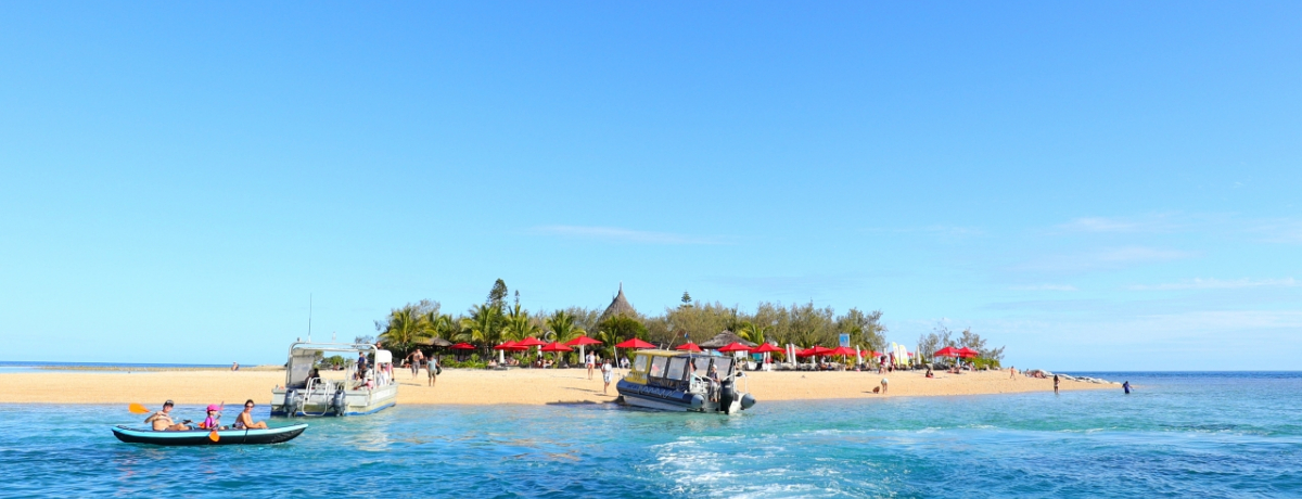 j[JhjAuJi[v̓sNjbNoōs閳lI