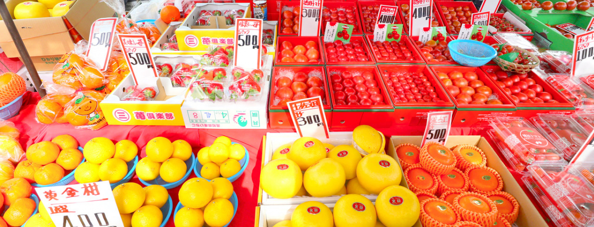 ujsv_čmGO!300IX̒炨CɓT