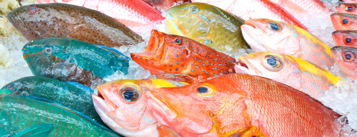 ��l���ŃT�N�b�Ɖ���I�ߔe�s�����y����1��2�����f���R�[�X