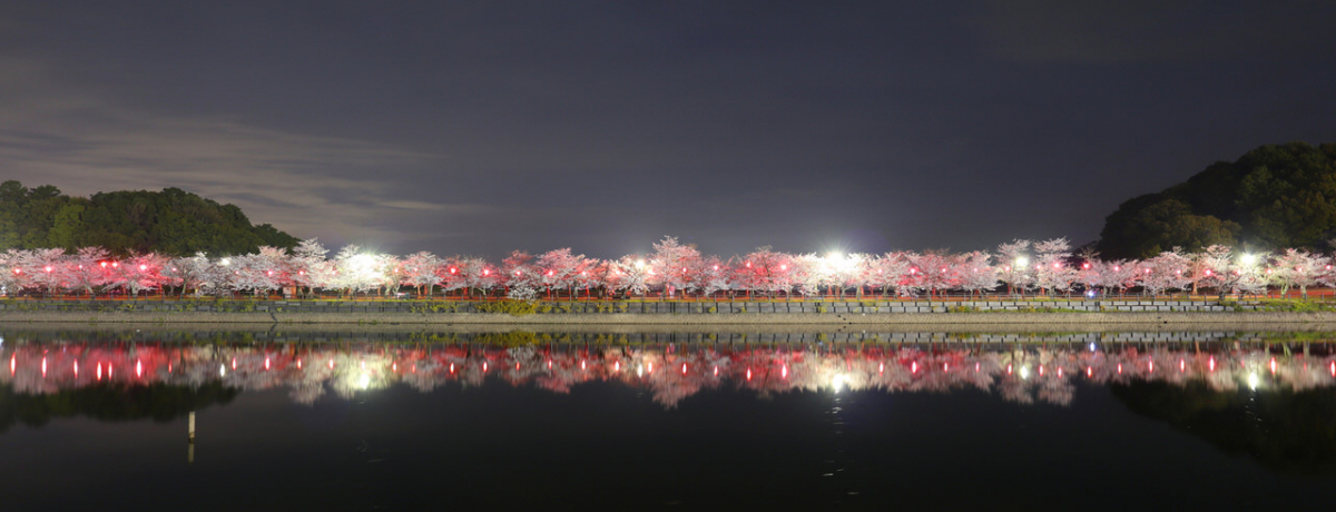 CX^f鍁̍IIXXԌX|bgTI