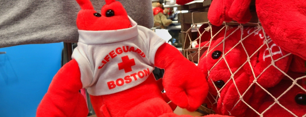 AOɁI{Xg`Ŕ邲nyYƃ[JO