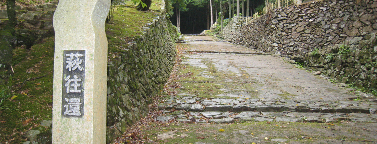 ��x�͕����Ă݂������j�̓��E�u�����ҁv�I�����߂́u�Ώ�X�|�b�g�v