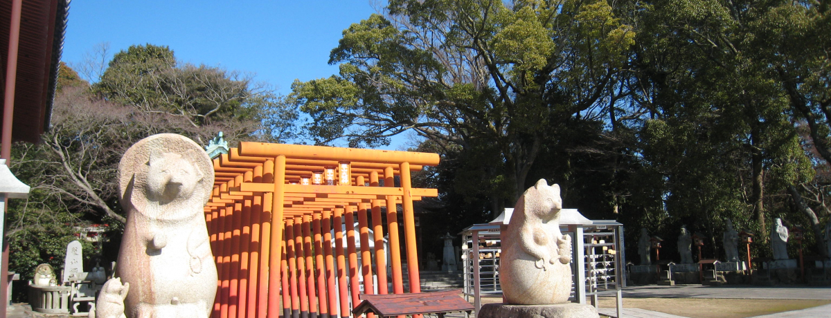 䂩̃p[X|bgEi쌧jIWufɂȂK炤ƒ~̔錍