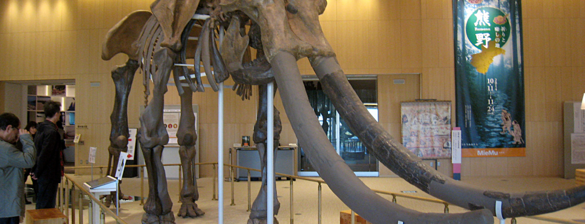 ���{���œ��{�ő�I�~�G�]�E�������i���Îs�u�l�����l���v�ɏo���I