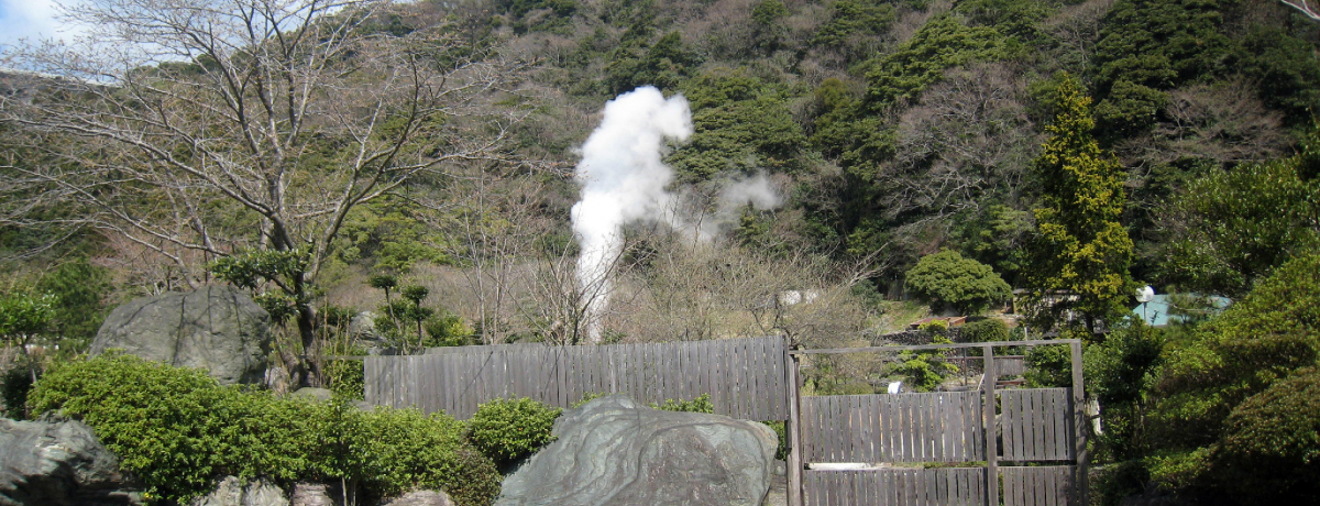 ����}�j�A����^����ʕ{�E�����n���̓D�p�b�N�Ŕ������I