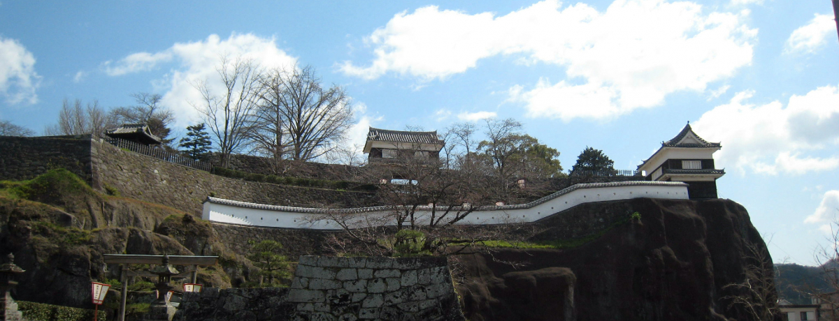 �����H�邪�Ǔ��I�����̑啪�E�P�n�隬�͓V�R�̗v��