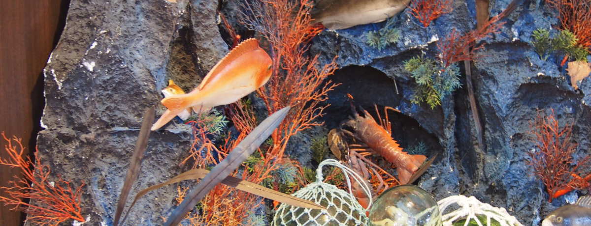 VтɐY̌IusuCقvɂ͐VNȊς