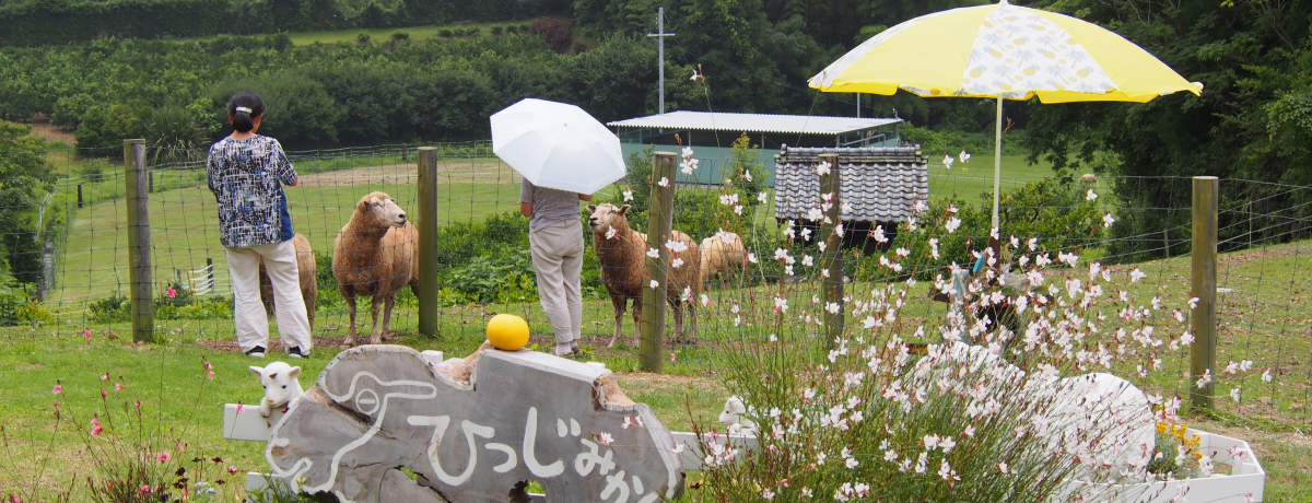 Odl̐lCX|bguЂ݂qvŃGŤ