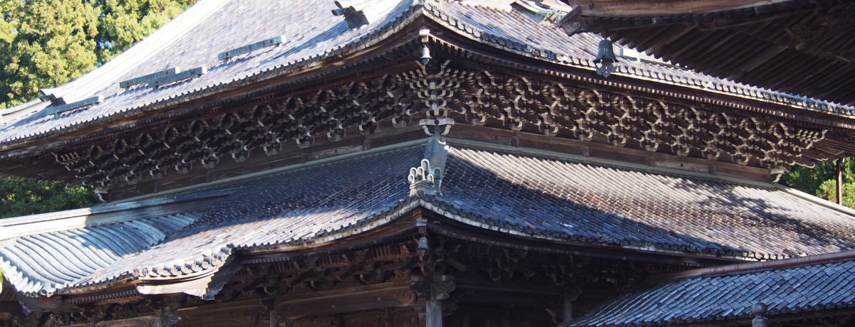 �����̓���������ؒ��� �x�R��v�s�u��g�ʉ@���򎛁v