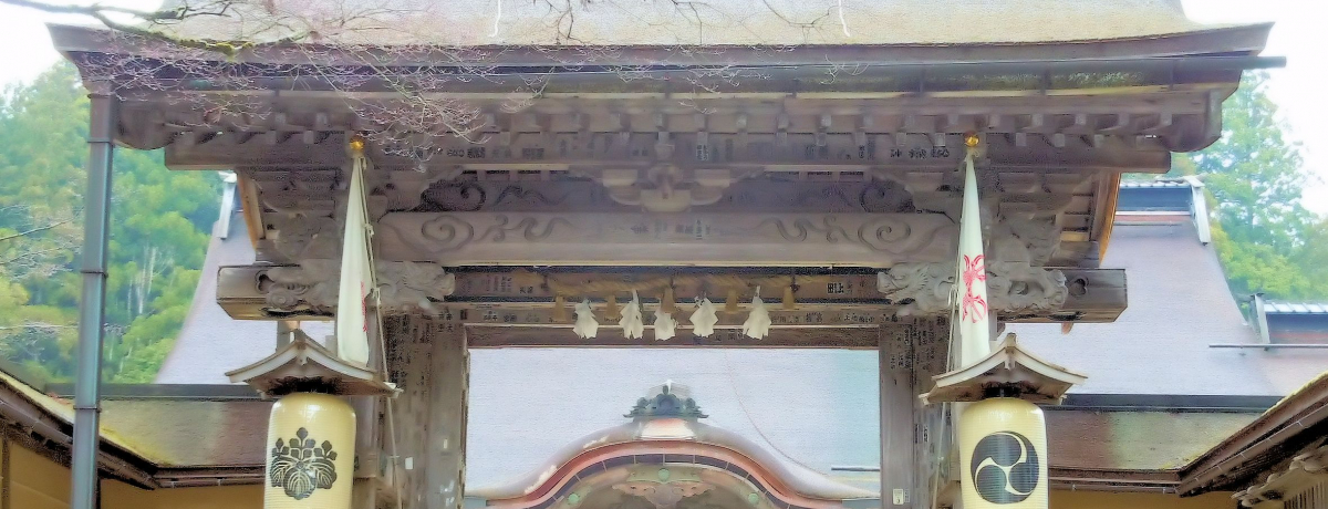 �V��̃p���[�X�|�b�g!����t���܂��J�R�����u����R�v