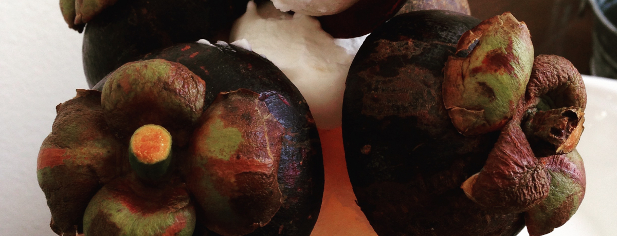 ptFlCIoRNuXNrbgE\C39v͏q͍߂̌Xg[g