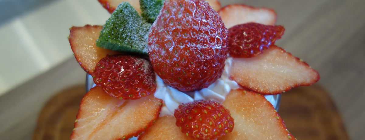 䕐sIȖ؁ủwĂv͊nƂƂ߂̃XC[cV