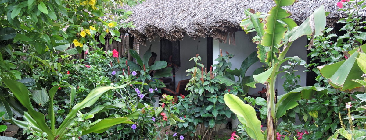 14000~̊yIxgiuAop[vz[XeCv